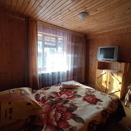 Apartment хата у карпатах Pilipets