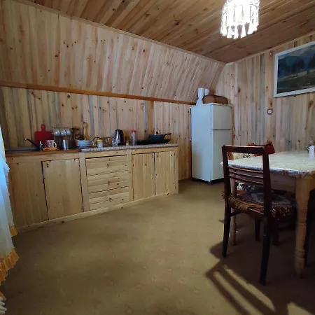 хата у карпатах Apartment