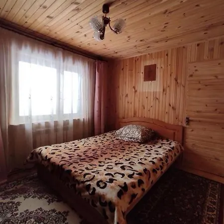 Apartment хата у карпатах Pilipets