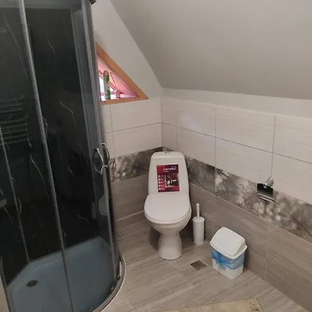 хата у карпатах Пилипец