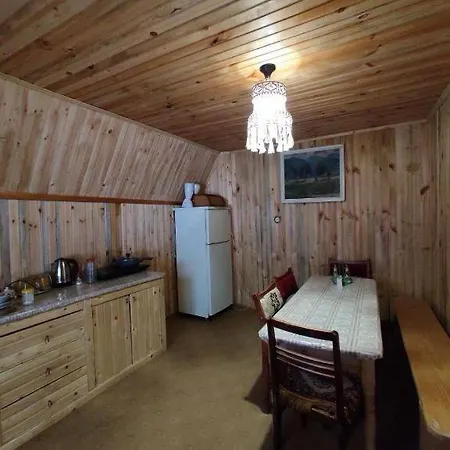 хата у карпатах Apartment Pilipets