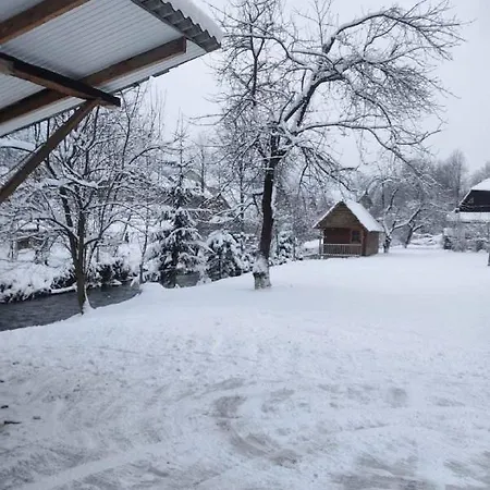 Apartment хата у карпатах Pilipets